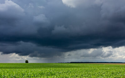 2019 Weather Recap: How This Season’s Extreme Weather Will Affect Agriculture in 2020