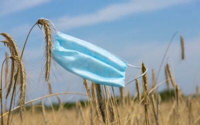 4 Ways COVID-19 Is Impacting the Agricultural Industry