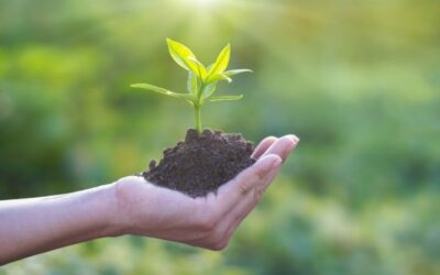 What is Regenerative Agriculture?