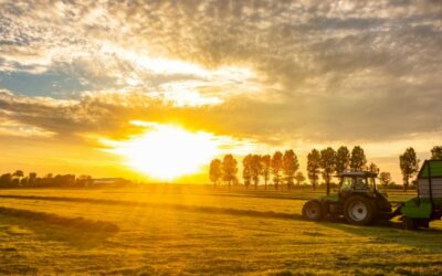 Summer Safety for Farmers: How to Spot & Prevent Heat Illness in the Field