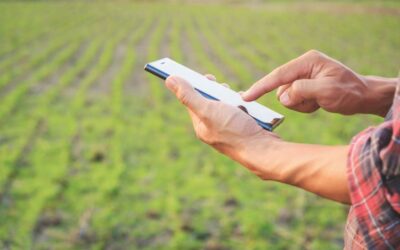 How Farmers Have Benefited from Smartphones
