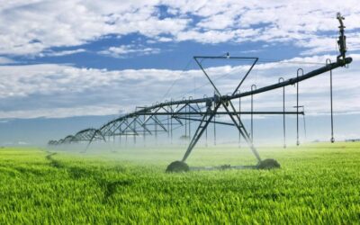 The Importance of Irrigation Scheduling